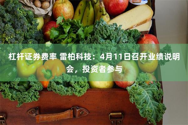 杠杆证券费率 雷柏科技：4月11日召开业绩说明会，投资者参与