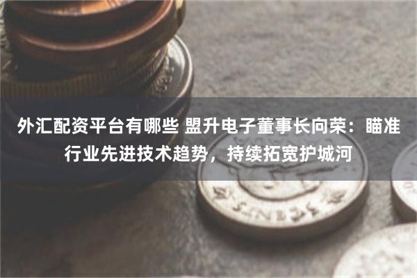 外汇配资平台有哪些 盟升电子董事长向荣：瞄准行业先进技术趋势，持续拓宽护城河