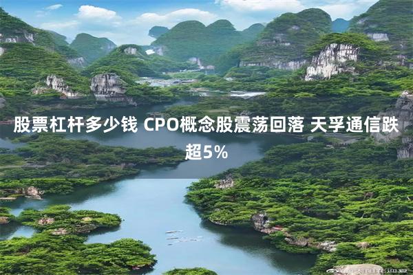 股票杠杆多少钱 CPO概念股震荡回落 天孚通信跌超5%