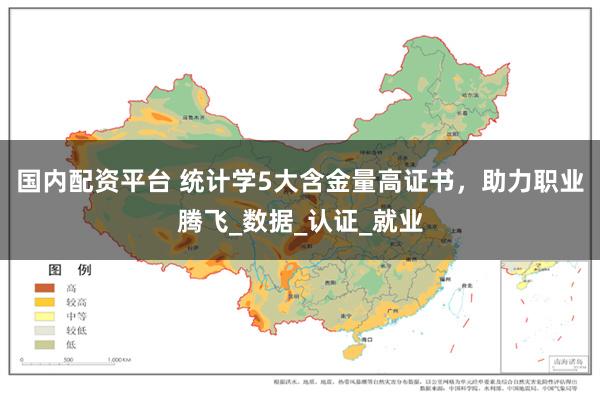 国内配资平台 统计学5大含金量高证书，助力职业腾飞_数据_认证_就业